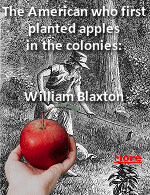 Tip your basket to William Blaxton when you pluck a plump apple from a tree, bob for apples on Halloween or cherish your grandmother's amazing apple pie on Thanksgiving. Reverend Blaxton, among other claims to fame, planted the first seeds that would fuel a pioneering nation and give apples an image of all-American wholesomeness. 